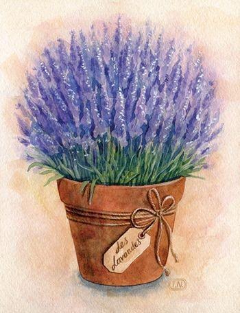 Paint & Relax Lavanda