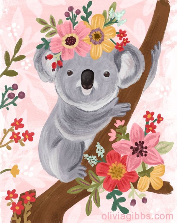 Koala Koala